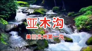 平衡宇宙